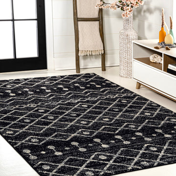 Aksil Moroccan Beni Souk Area Rug